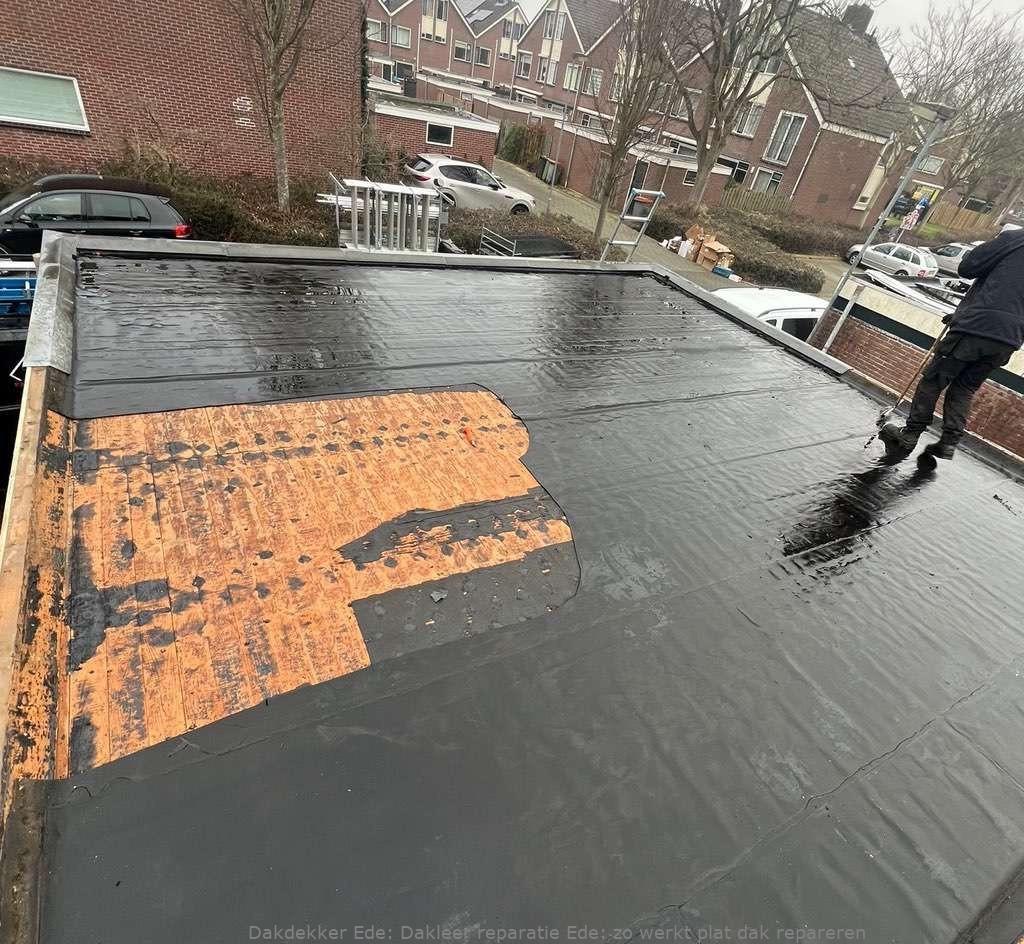 Dakleer Reparatie Ede