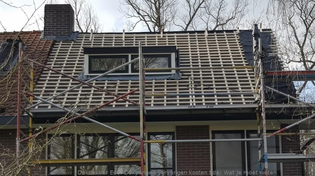 Dakpannen Vervangen Kosten Ede