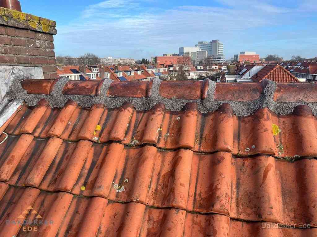 Ede Daken Renoveren
