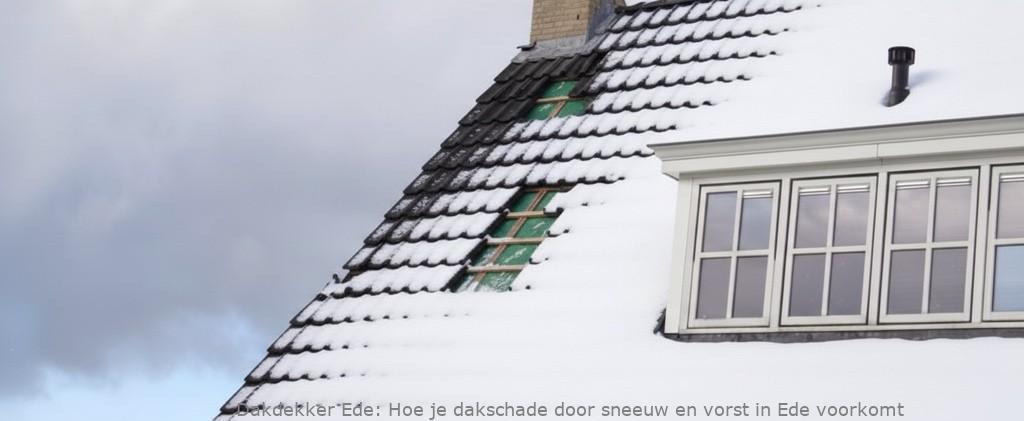 Schade Door Sneeuw En Vorst Ede